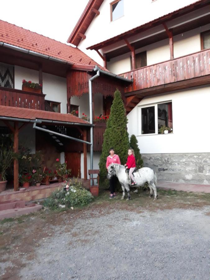 Bed and Breakfast Molnar Vendeghaz Praid Exterior foto